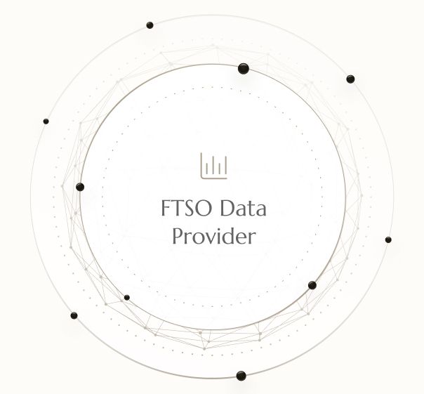 Data Provider for the FTSO