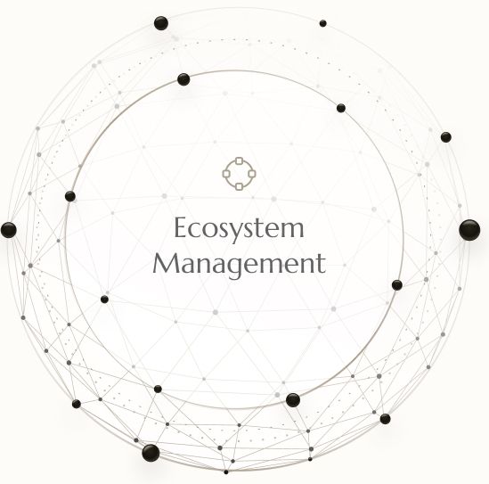 Govern the Ēnosys Ecosystem Via Bottom Up Management.